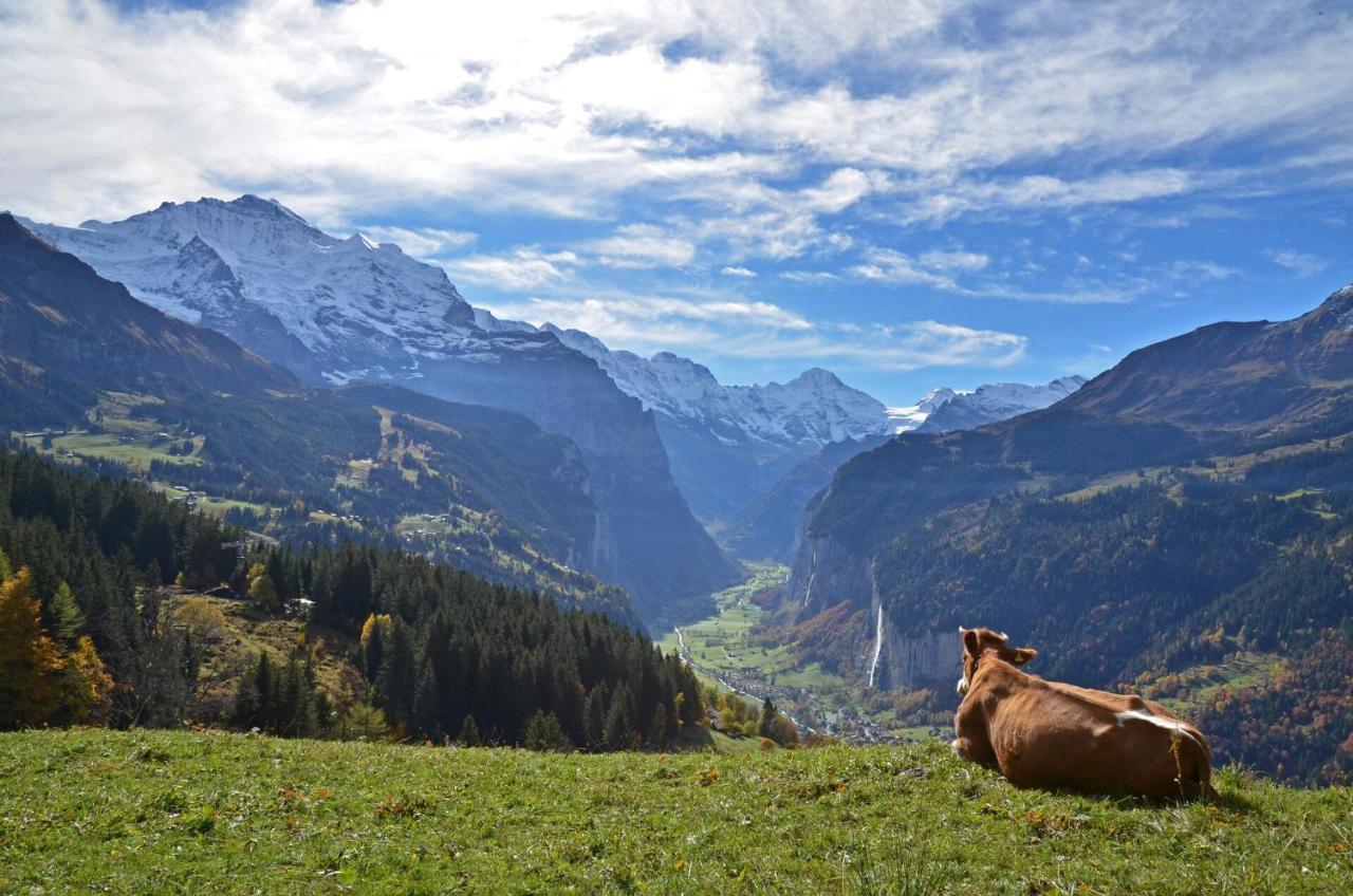 Hotel Victoria Lauberhorn Wengen, A Faern Collection Hotel Luaran gambar